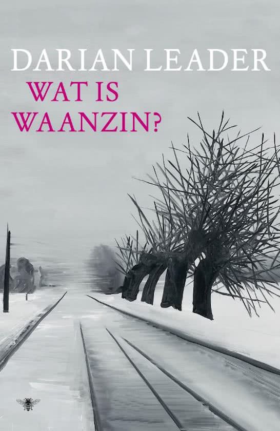 Wat is waanzin?