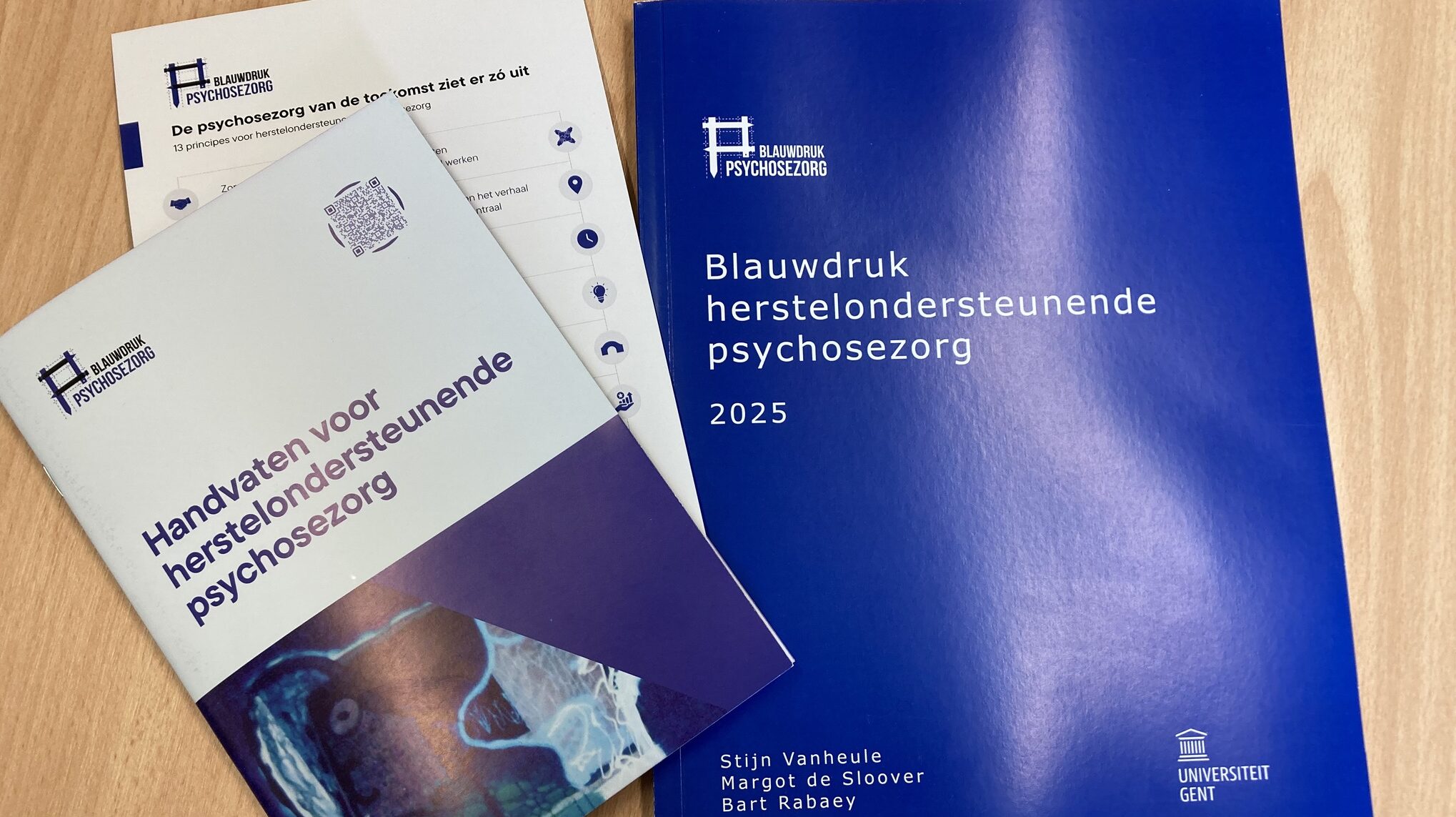 Blauwdruk goede psychosezorg (3)